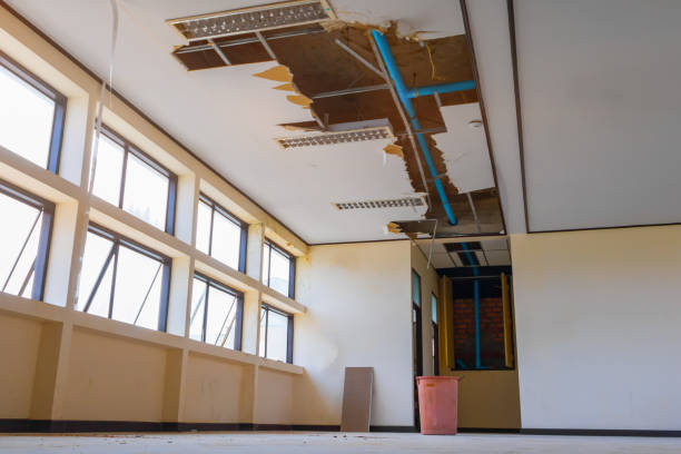 Best Flooded house restoration  in Montura, FL