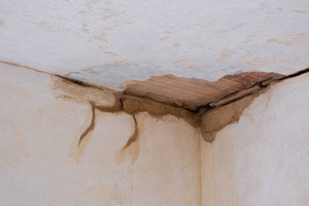 , FL Water damage restoration Company