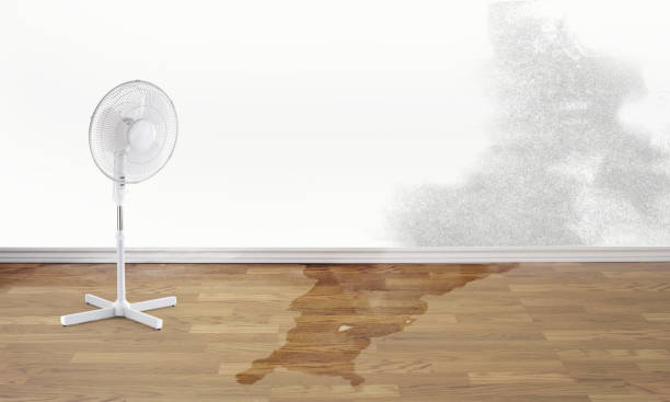 Best Flood restoration services  in Montura, FL