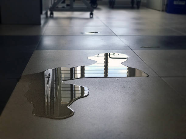 Best 24-hour water damage restoration  in Montura, FL