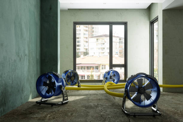 Best Water damage cleanup near me  in Montura, FL